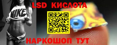 прущие грибы Ирбит