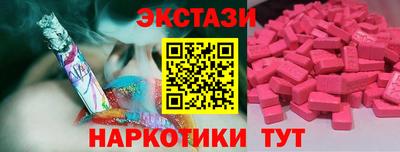 a pvp Камышлов