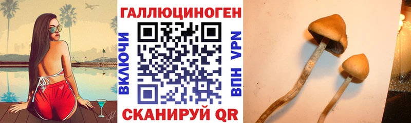 Галлюциногенные грибы MAGIC MUSHROOMS  магазин  наркотиков  МЕГА как зайти  Норильск 