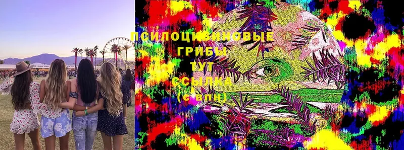 Галлюциногенные грибы MAGIC MUSHROOMS  наркотики  кракен зеркало  сайты даркнета состав  Норильск 