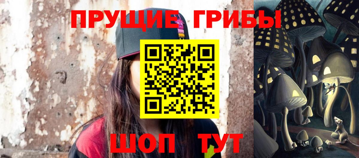 НБОМе Норильск