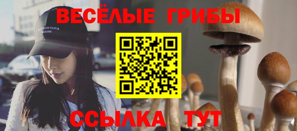 Норильск  Псилоцибиновые грибы GOLDEN TEACHER  Вход с VPN 