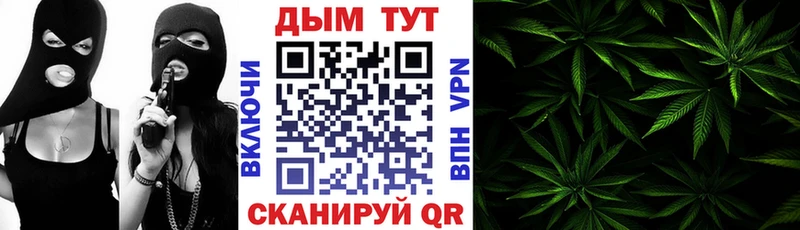 Бошки марихуана сатива  Норильск 